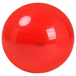 Μπάλα γυμναστικής Physio Gymnic 85cm κόκκινο