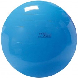 Μπάλα γυμναστικής Physio Gymnic 95cm μπλε