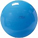 Μπάλα γυμναστικής Physio Gymnic 95cm μπλε