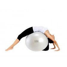 FIT-BALL 65cm ball