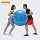 Μπάλα γυμναστικής Physio Gymnic 95cm μπλε