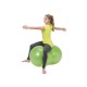 Μπαλάκι φυστικιού Physio Roll PLUS 55 cm