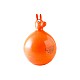 Bouncy ball with handle Pony 45cm