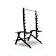 Multifunctional Home Squat Rack | Inspire
