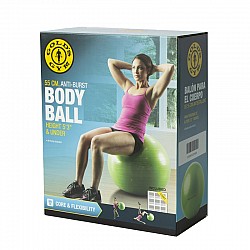 Gym ball Ø65 cm