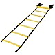 Training ladder