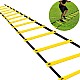 Training ladder