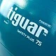 Фитнес топка Tiguar Safety Plus 75 cm (Marine)