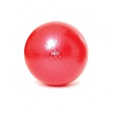 Швейцарска Топка Dura-Ball Pro