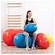 Fitness ball peanut Physio Roll 70 cm