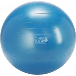 Фитнес топка Gymnic Plus 65см BRQ син