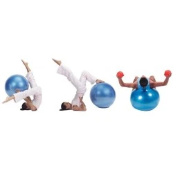 Фитнес топка Gymnic Plus 65см BRQ син