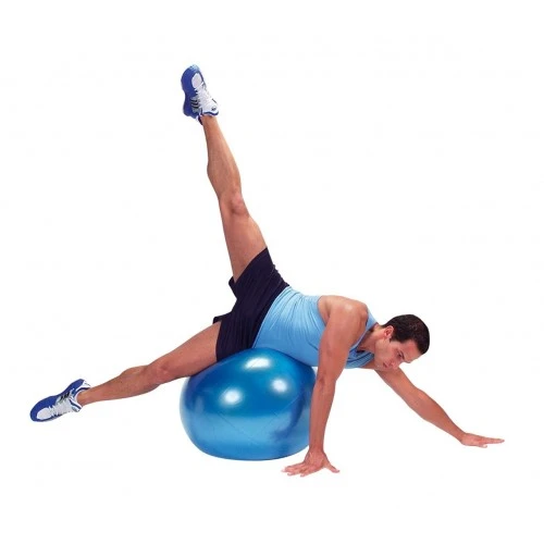 Фитнес топка Gymnic Plus 65см BRQ син