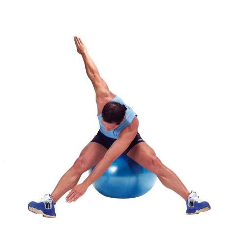 Фитнес топка Gymnic Plus 65см BRQ син