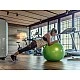 Фитнес топка Gymnic Plus 65см BRQ, зелен