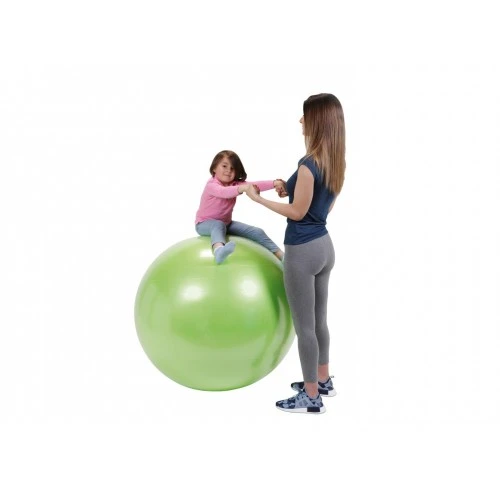 Фитнес топка Physio Gymnic Plus 85см BRQ