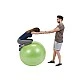 Μπάλα γυμναστικής Physio Gymnic Plus 120cm BRQ