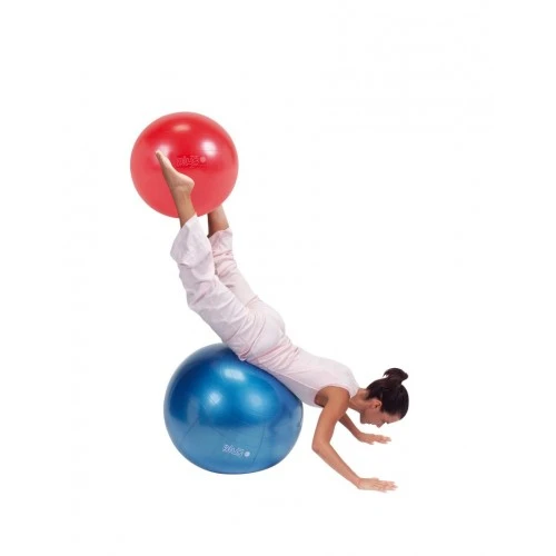 Фитнес топка Gymnic Plus 65см BRQ син