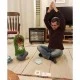 Educational Yoga card game 4 in 1
