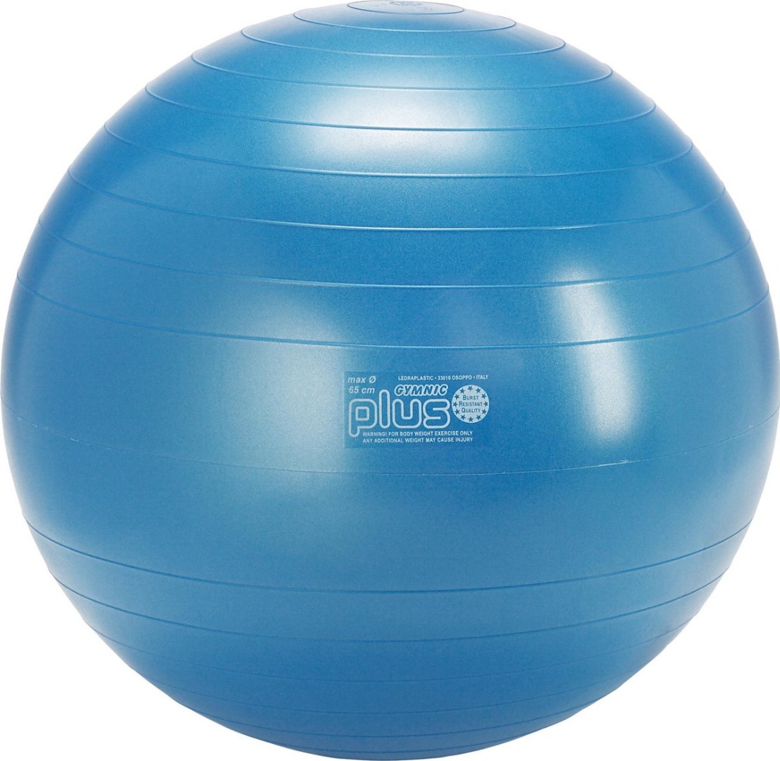 Fitness ball Gymnic Plus 65cm BRQ blue
