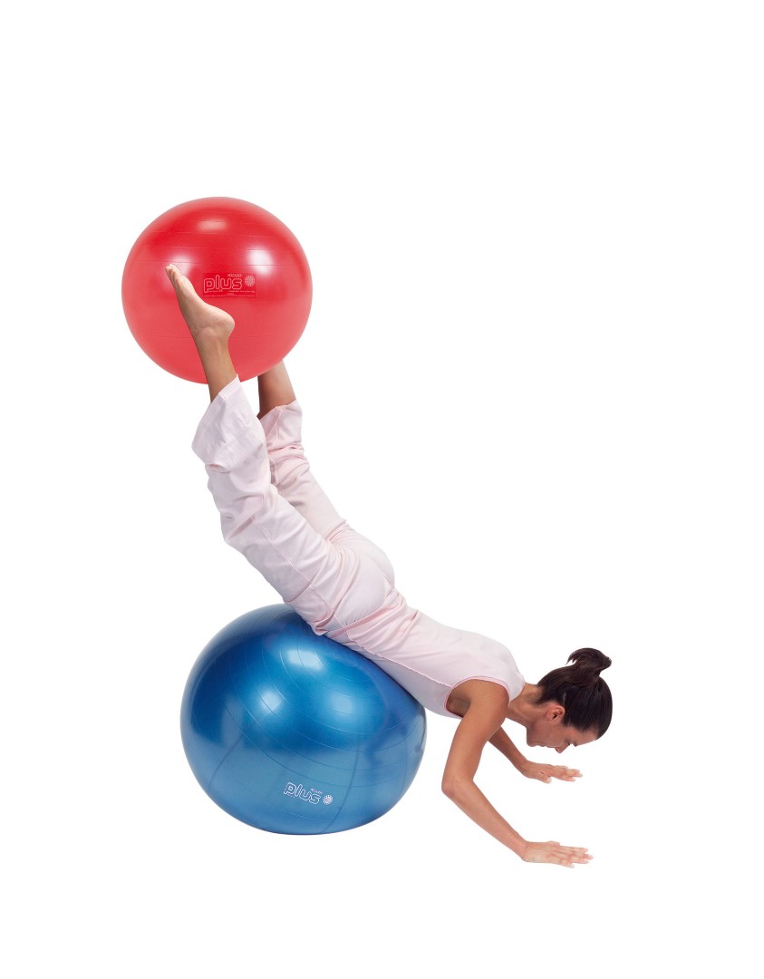 Fitness ball Gymnic Plus 65cm BRQ blue